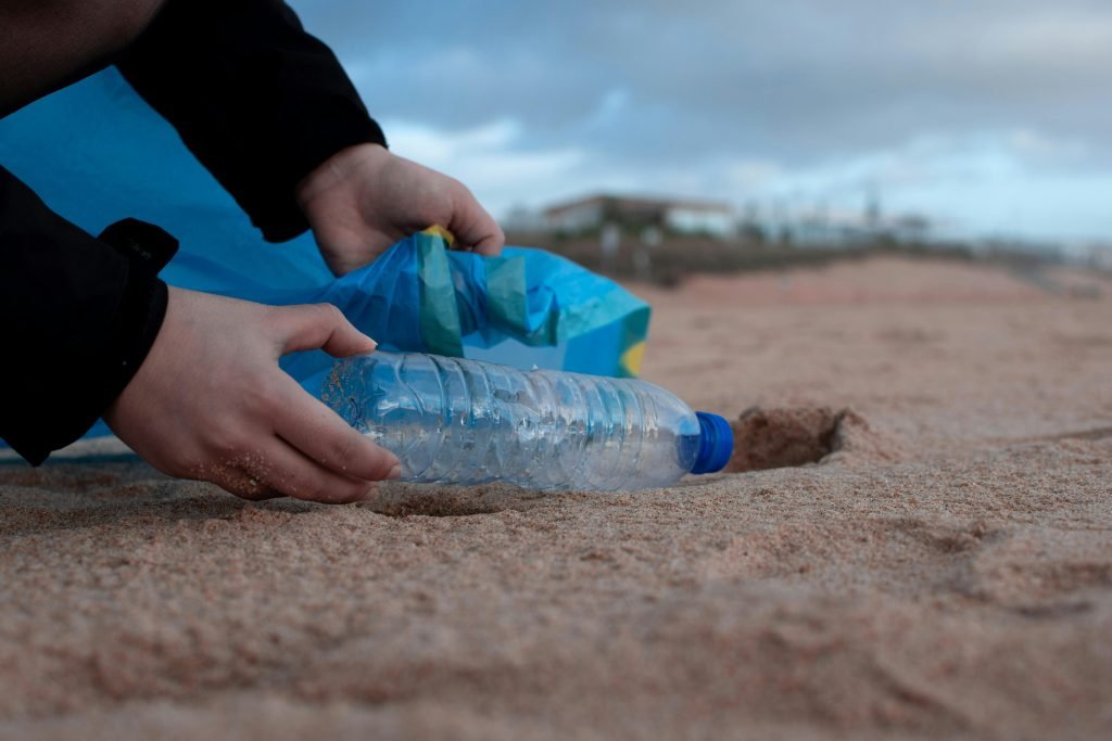 Volunteers maintain the environment